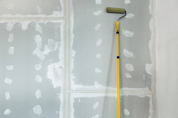 Reliable Spring Valley, NY Mold Removal Solutions