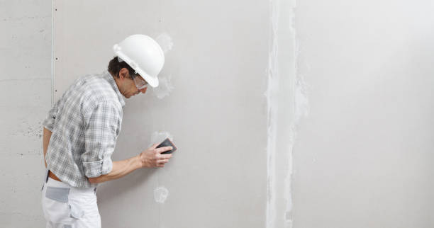 Best Crawl Space Mold Remediation  in Spring Valley, NY