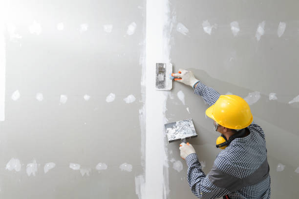 Reliable Spring Valley, NY Mold Removal Solutions