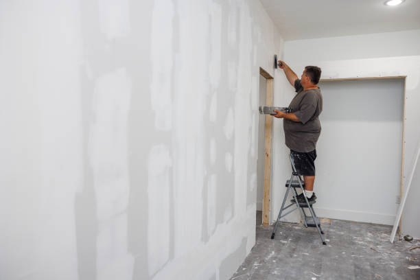 Best Forensic Mold Investigation  in Spring Valley, NY