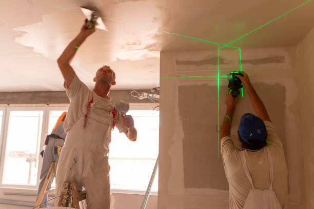 Best Attic Mold Removal  in Spring Valley, NY