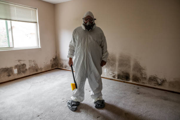 Best Airborne Mold Testing  in Spring Valley, NY