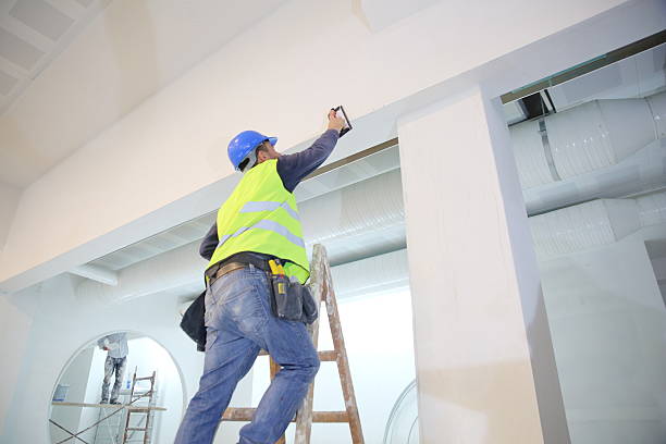 Best Attic Mold Removal  in Spring Valley, NY
